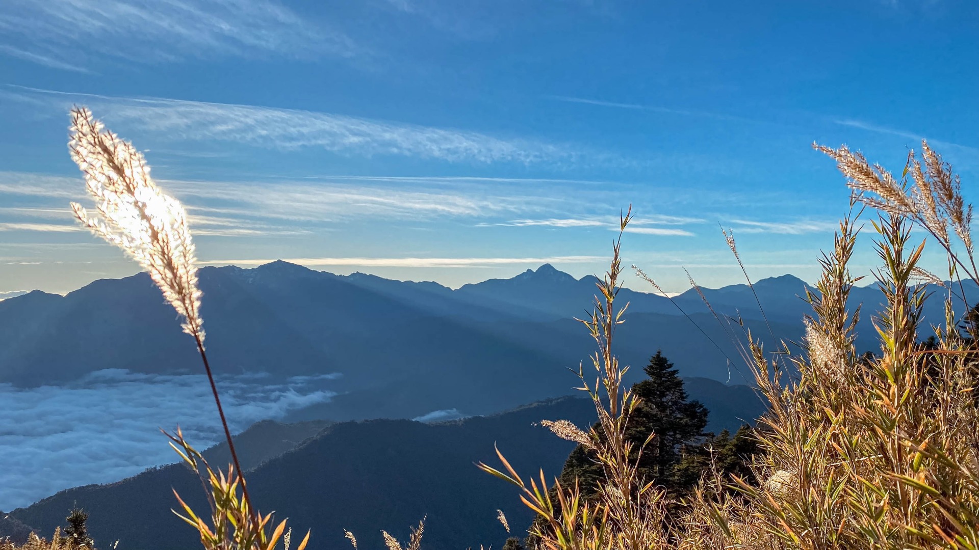 往喀拉業沿途皆是盛開的高山芒,搖曳的一束芒花,剛好兜攏住遠方山頭的太陽。