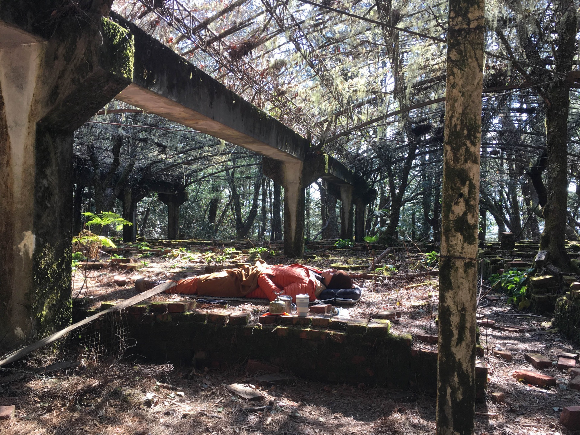 下山前,累癱在牡丹園曬太陽的攝影師江。