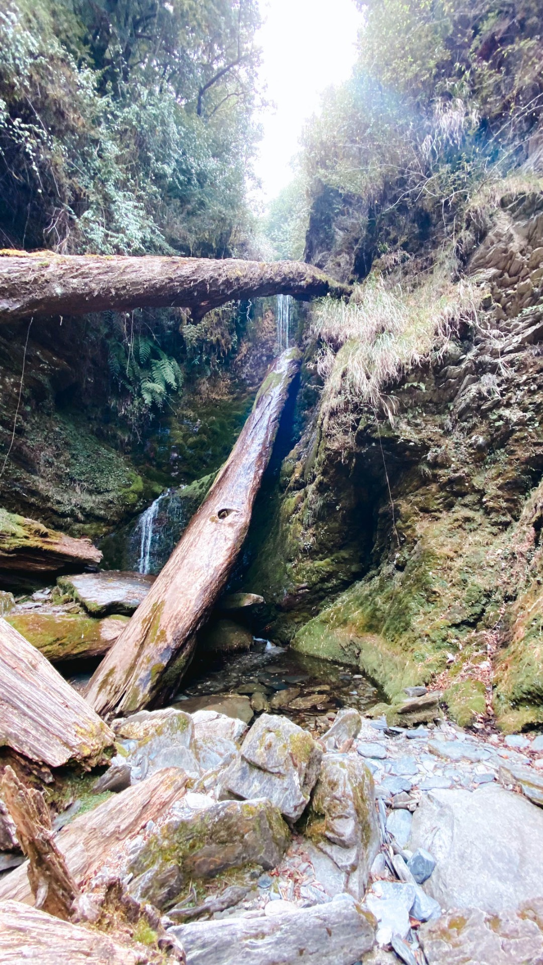 820林道終點的瀑布小潭,此處是上畢祿山的最後取水處。