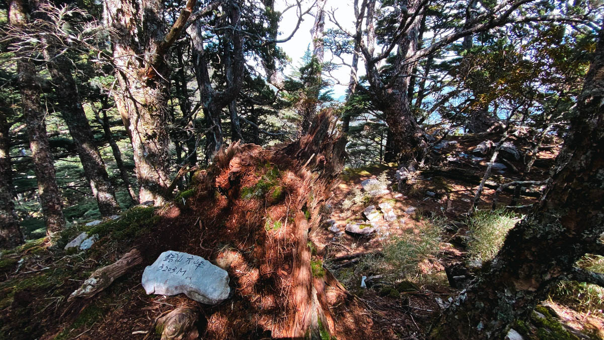 鋸山六峰頂的基石。鋸東山屋即位於六峰和鋸山東峰之間。