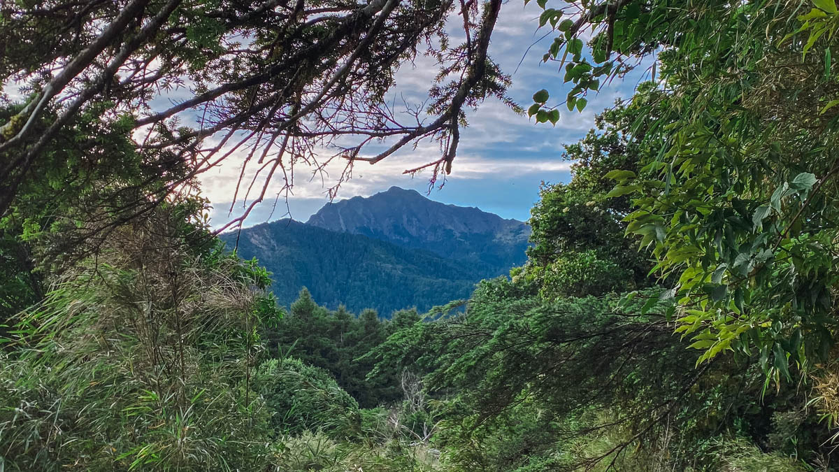 第五日回程,在多加屯山三角點附近望向南湖大山的最後一眼。這裡應也是展望得到南湖大山的第一眼,只是第一日在雲霧中還懵然。