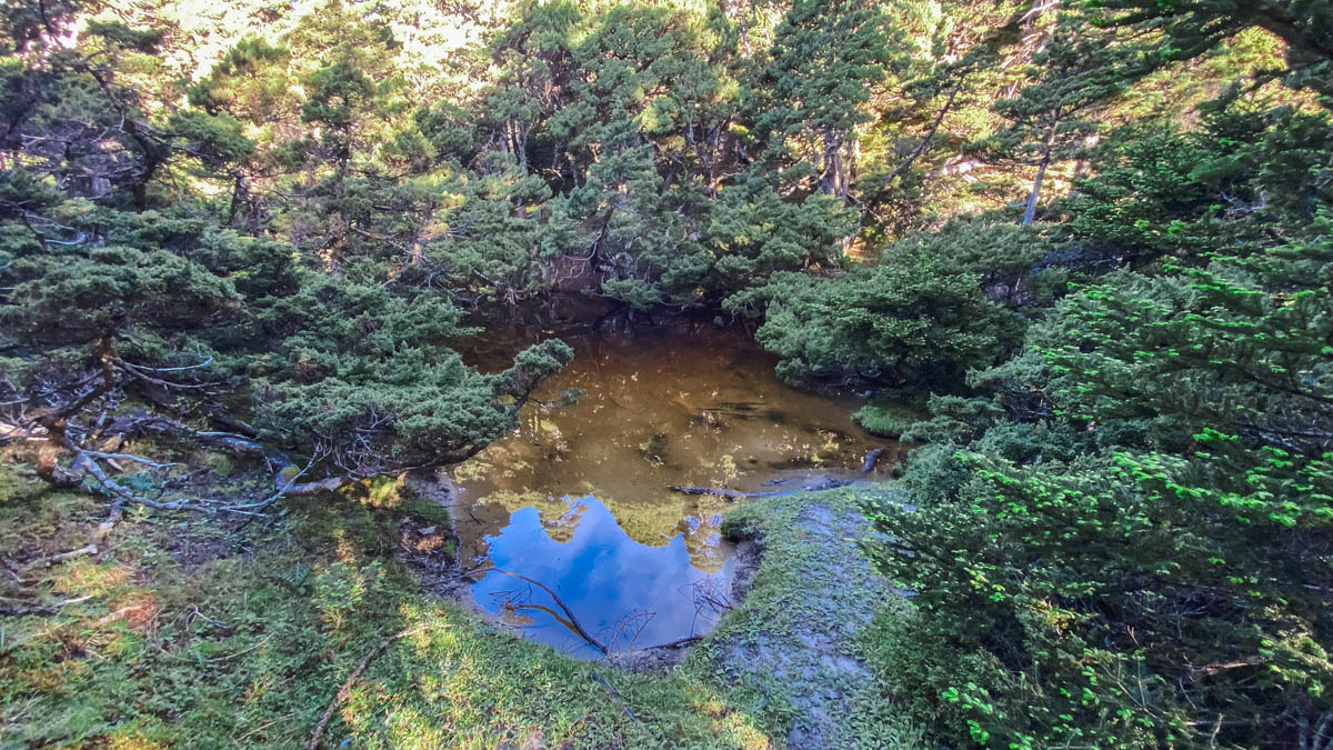 傳說中的「南湖池」
