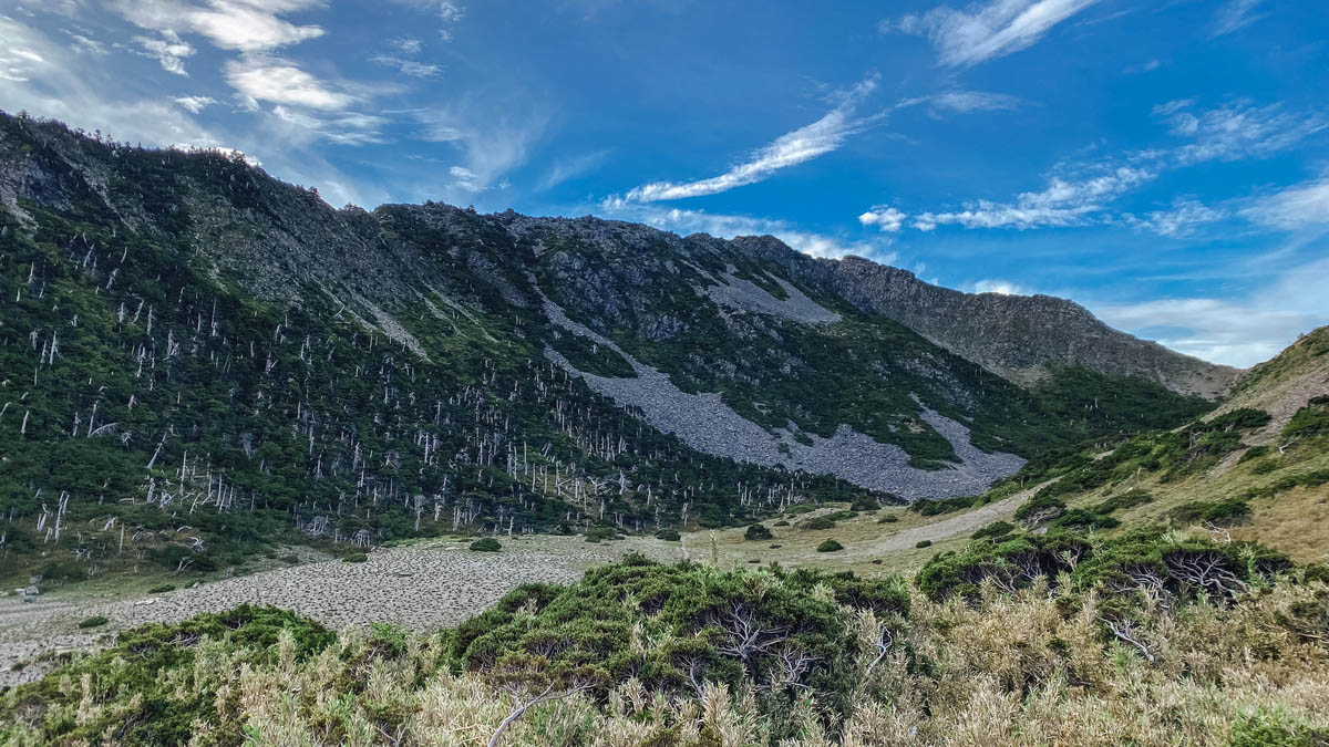 從圈谷望東峰,滿滿矗立著玉山圓柏。