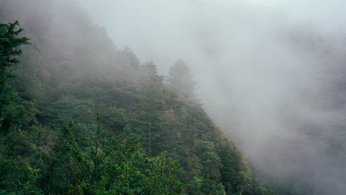 步下玉山前峰時霧色如紗