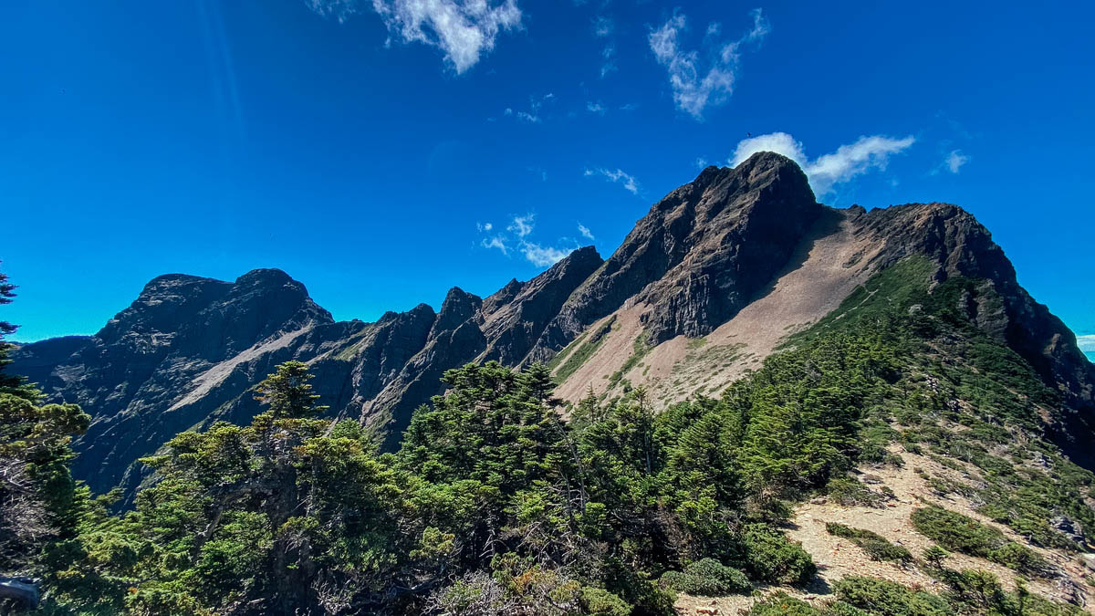 進入稜線上的樹林段,回望玉山主峰(右)和玉山東峰(左)