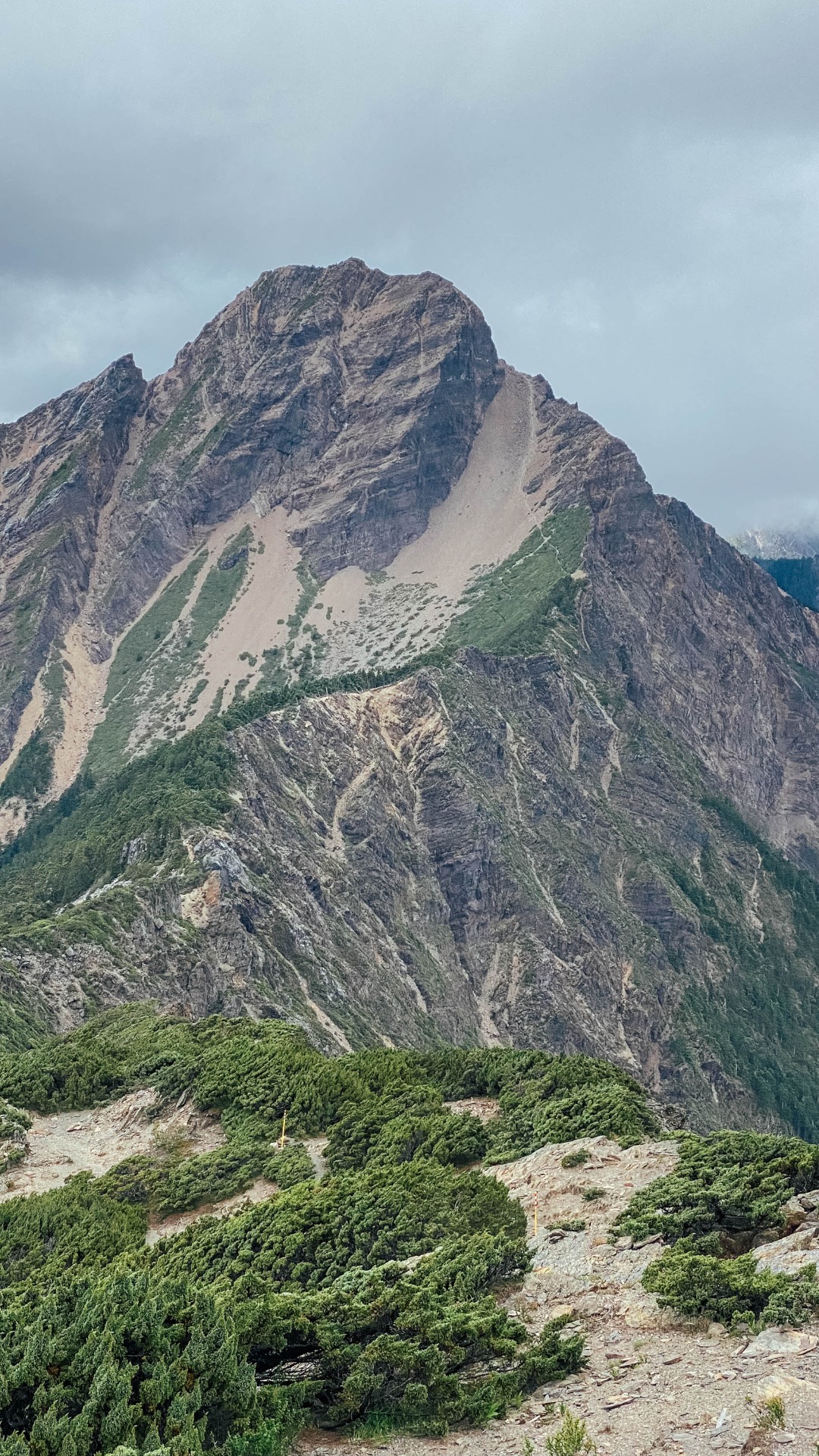 北峰回程望玉山主峰,看到主峰右下凹口,那一小道宛如橡皮擦擦過的痕跡嗎?我們就是要從那邊爬回去!