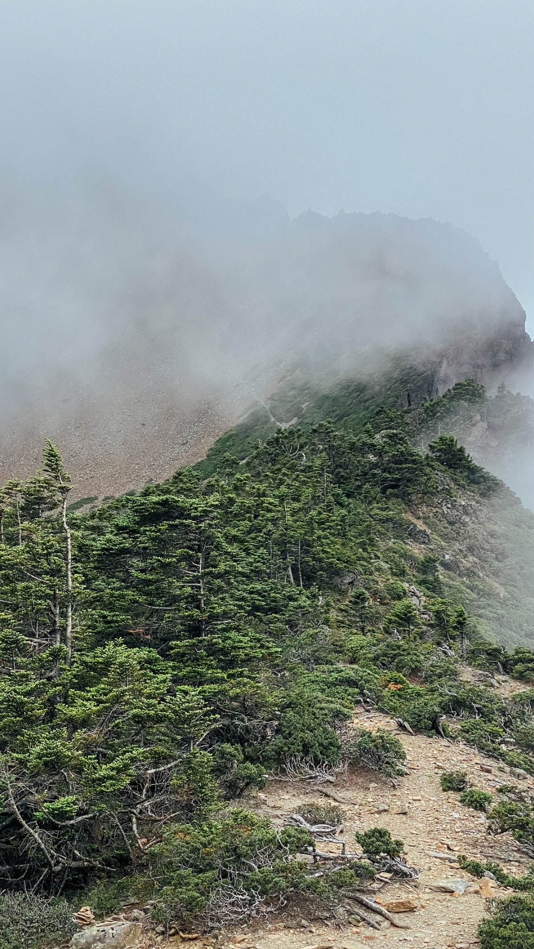 雲霧一轉眼就湧上了北峰往主峰的稜線